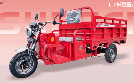 Shengfu — SS2500DZH-20A - Image 2